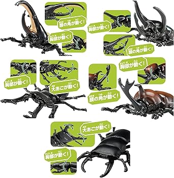 Amazon.co.jp: アニア AS-39 コーカサスオオカブト : おもちゃ